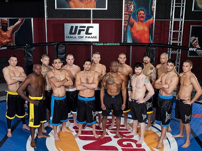 TUF-13-cast Ultimate Fighter TUF 13 Lesnar vs Dos Santos Cast