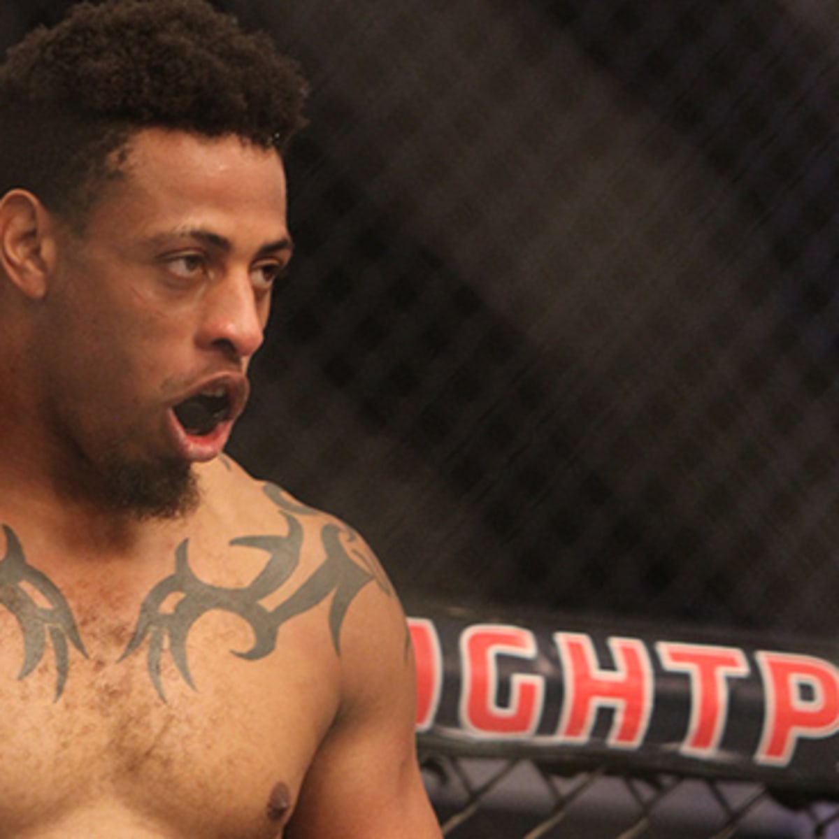 NFL star Greg Hardy to pursue MMA career, NFL News