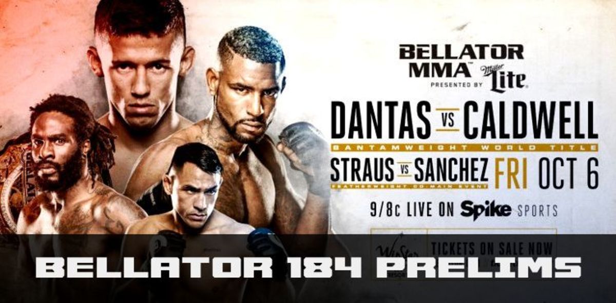 Watch bellator online free